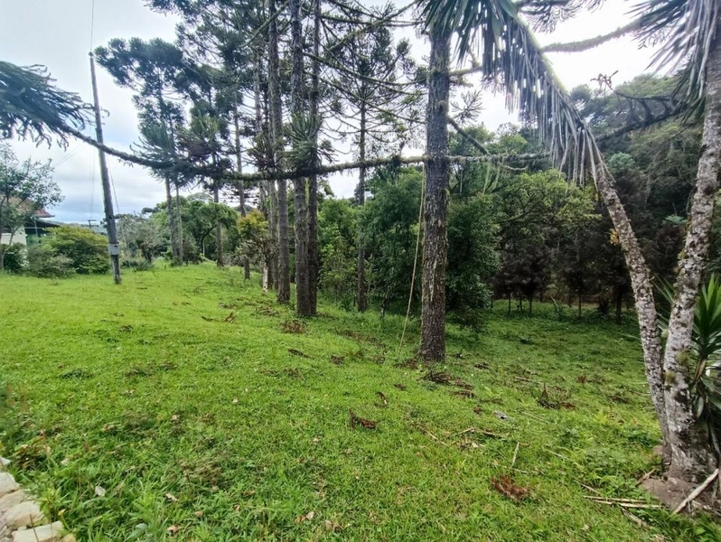 null: 7ª foto da galeria de imagens do imóvel