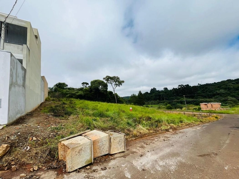 null: 4ª foto da galeria de imagens do imóvel