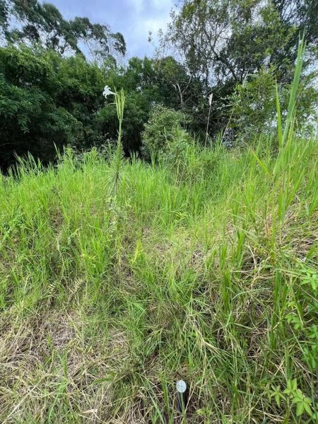 null: 6ª foto da galeria de imagens do imóvel