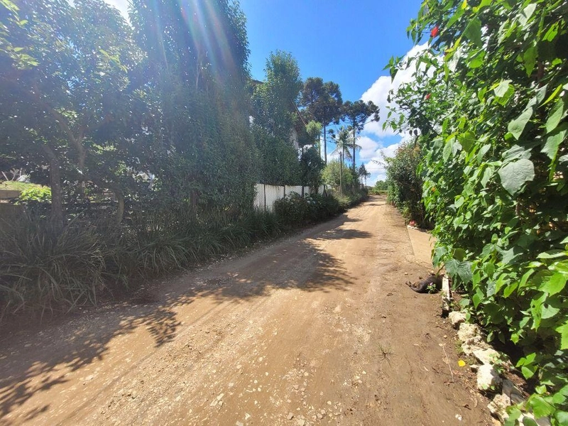 null: 4ª foto da galeria de imagens do imóvel