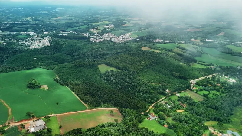 Area de Loteamento em Campo Magro: 8ª foto da galeria de imagens do imóvel
