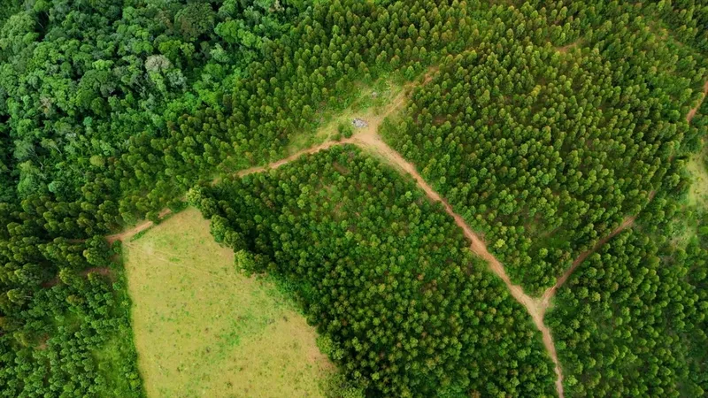 Area de Loteamento em Campo Magro: 4ª foto da galeria de imagens do imóvel