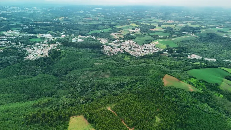 Area de Loteamento em Campo Magro: 10ª foto da galeria de imagens do imóvel
