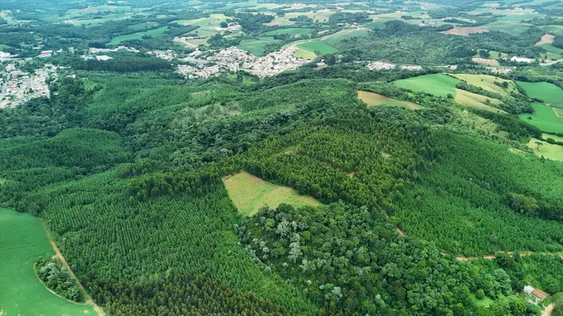 Area de Loteamento em Campo Magro: 5ª foto da galeria de imagens do imóvel