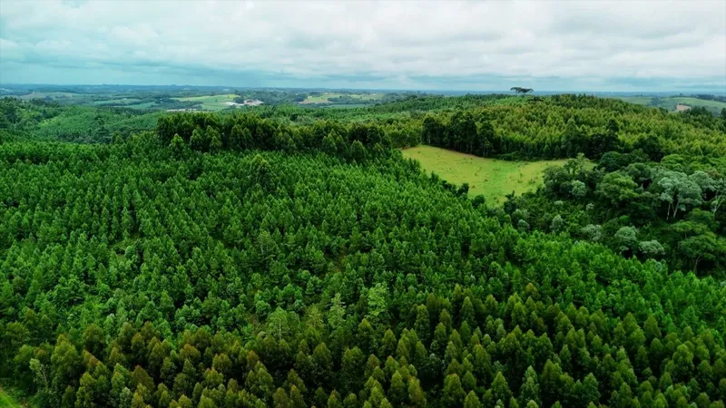 Area de Loteamento em Campo Magro: 11ª foto da galeria de imagens do imóvel