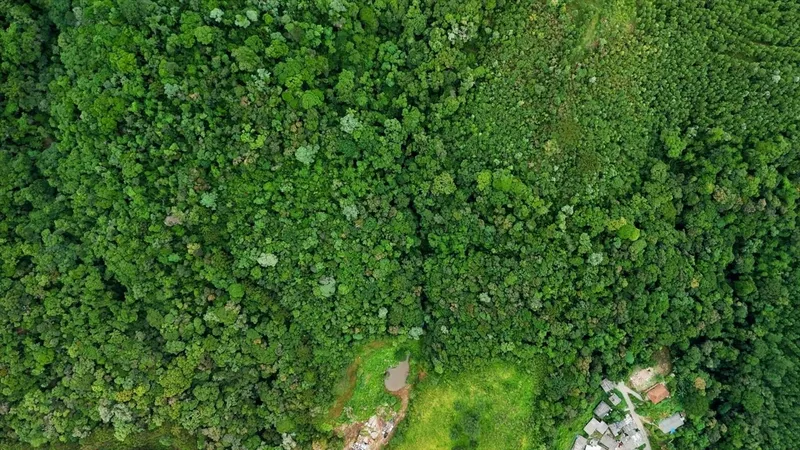 Area de Loteamento em Campo Magro: 7ª foto da galeria de imagens do imóvel