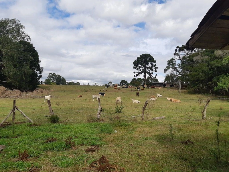 Imóvel residencial ou comercial