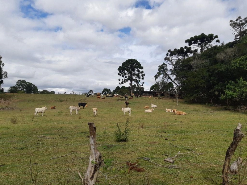 null: 2ª foto da galeria de imagens do imóvel