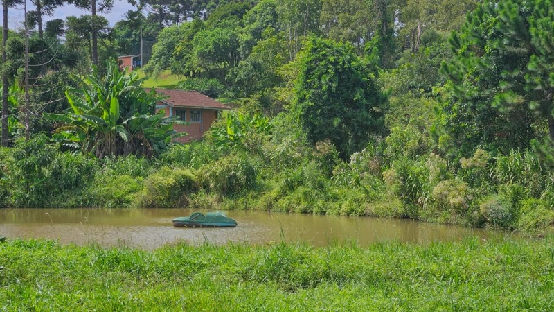 null: 11ª foto da galeria de imagens do imóvel