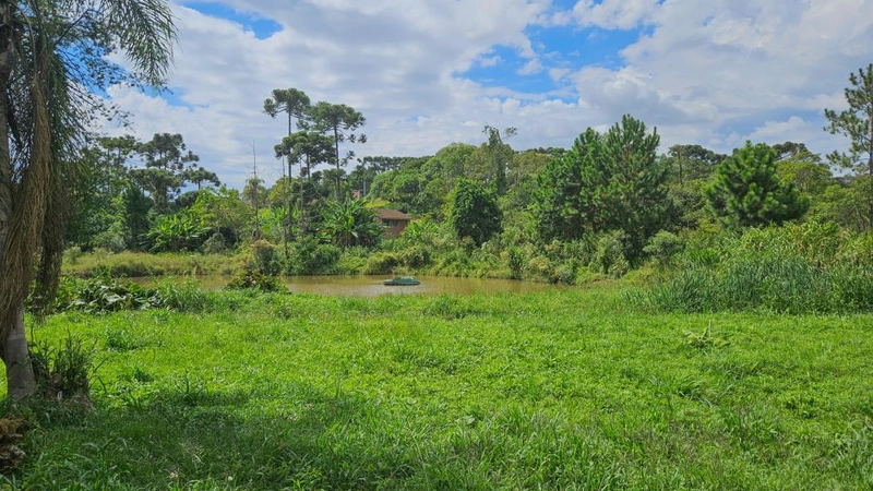 null: 12ª foto da galeria de imagens do imóvel