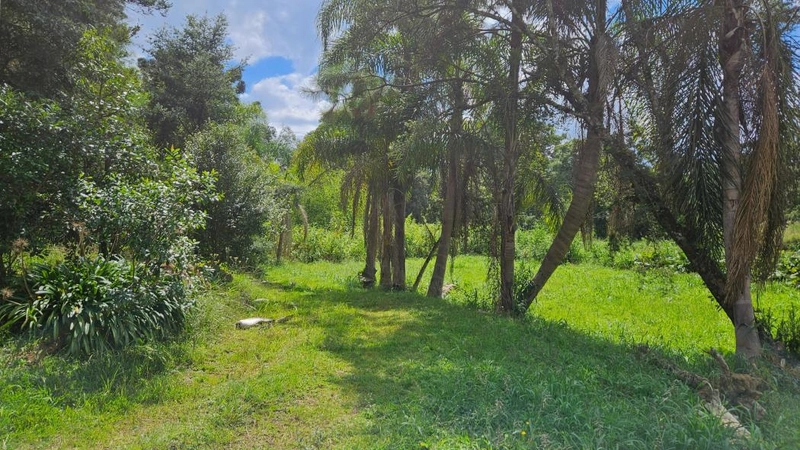 null: 13ª foto da galeria de imagens do imóvel