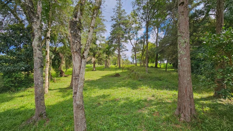 null: 14ª foto da galeria de imagens do imóvel