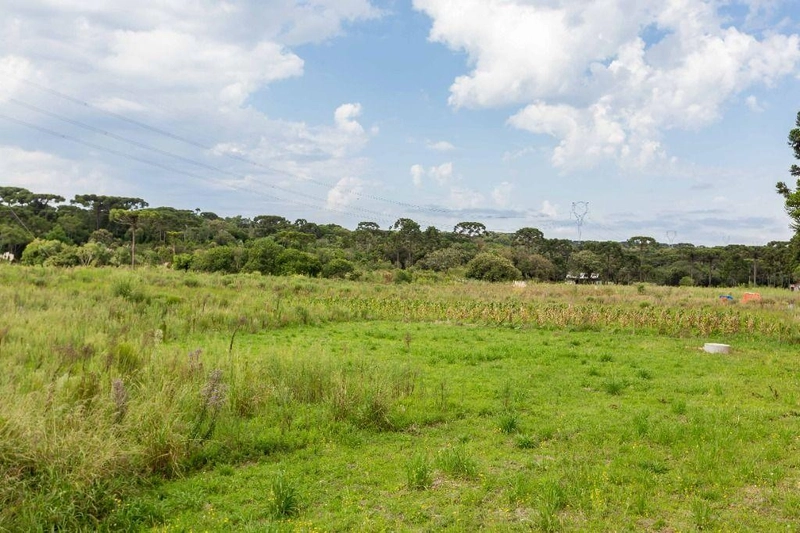 null: 36ª foto da galeria de imagens do imóvel