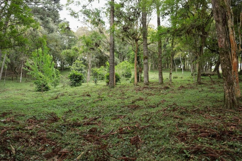 null: 13ª foto da galeria de imagens do imóvel