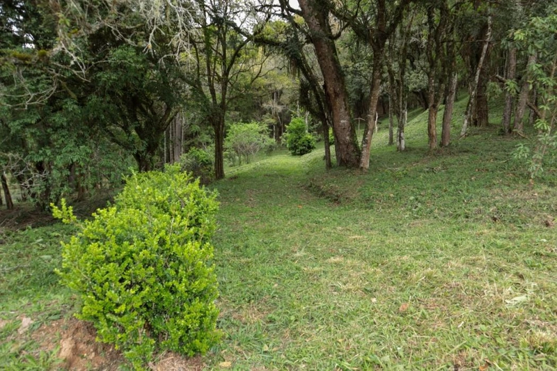 null: 9ª foto da galeria de imagens do imóvel