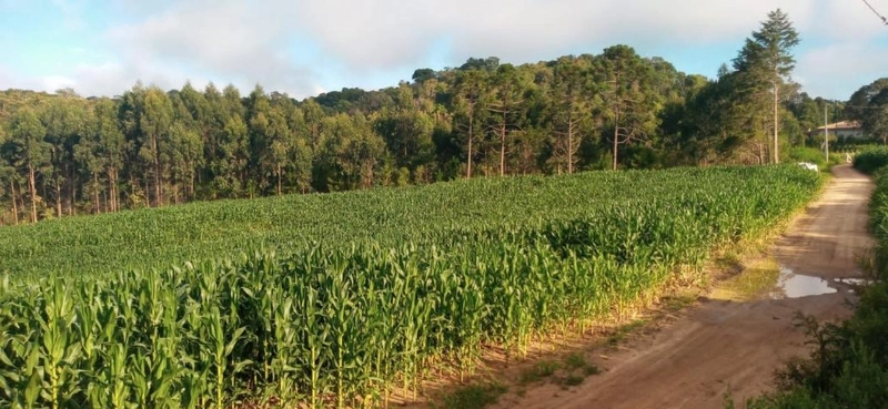 null: 5ª foto da galeria de imagens do imóvel