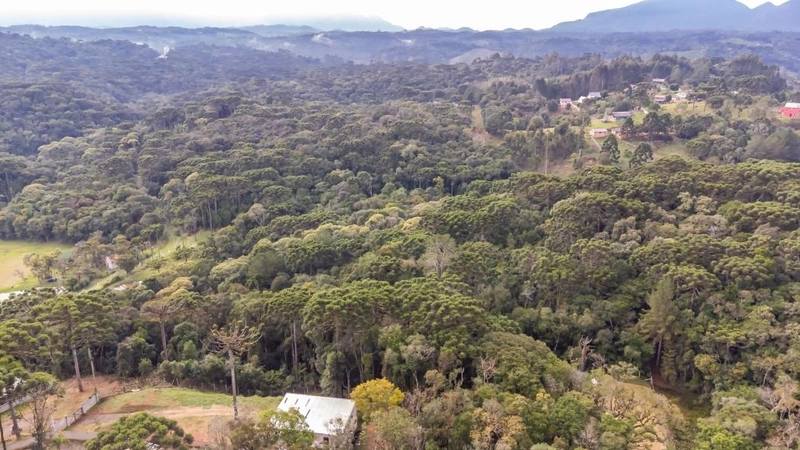 null: 10ª foto da galeria de imagens do imóvel