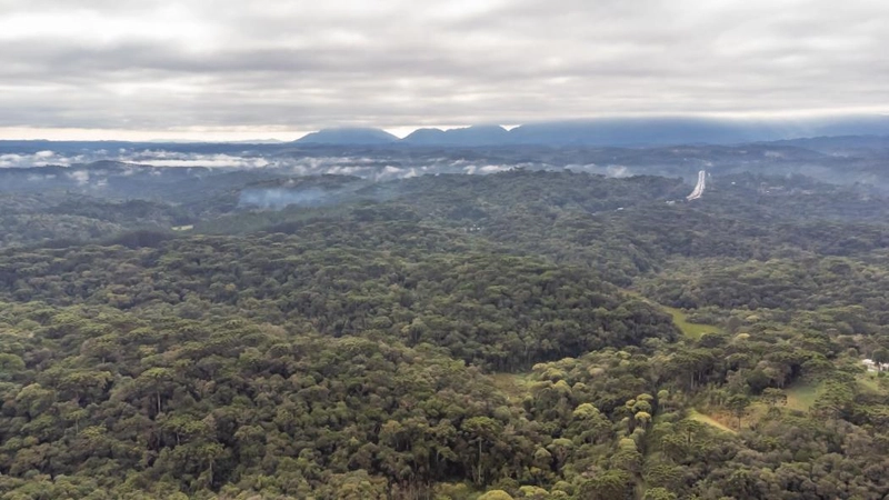 null: 26ª foto da galeria de imagens do imóvel