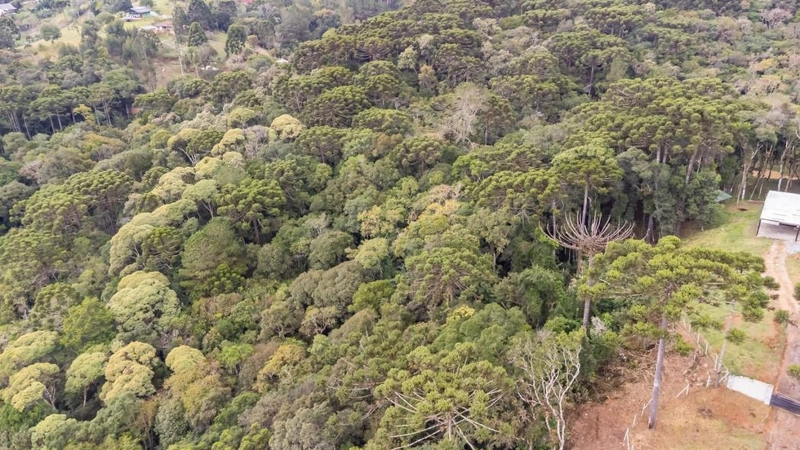 null: 33ª foto da galeria de imagens do imóvel