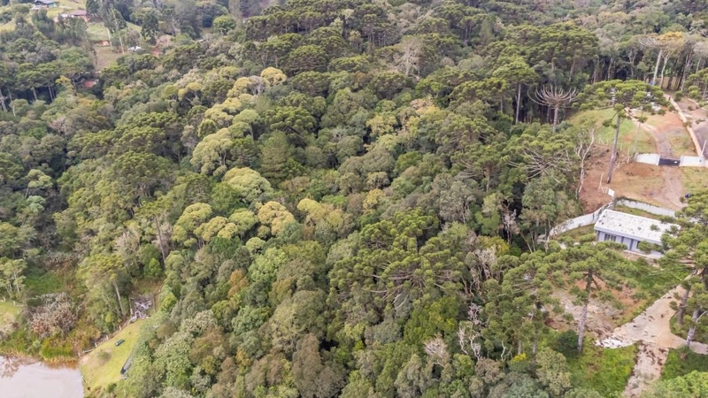 null: 34ª foto da galeria de imagens do imóvel