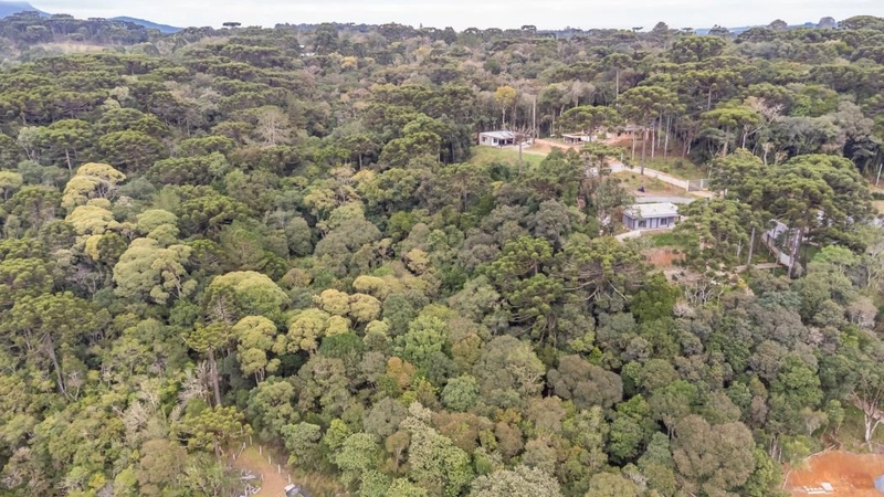 null: 36ª foto da galeria de imagens do imóvel