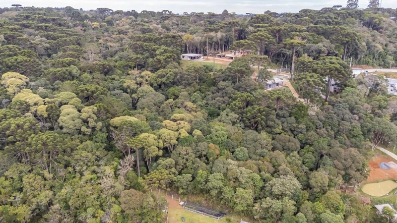 null: 37ª foto da galeria de imagens do imóvel