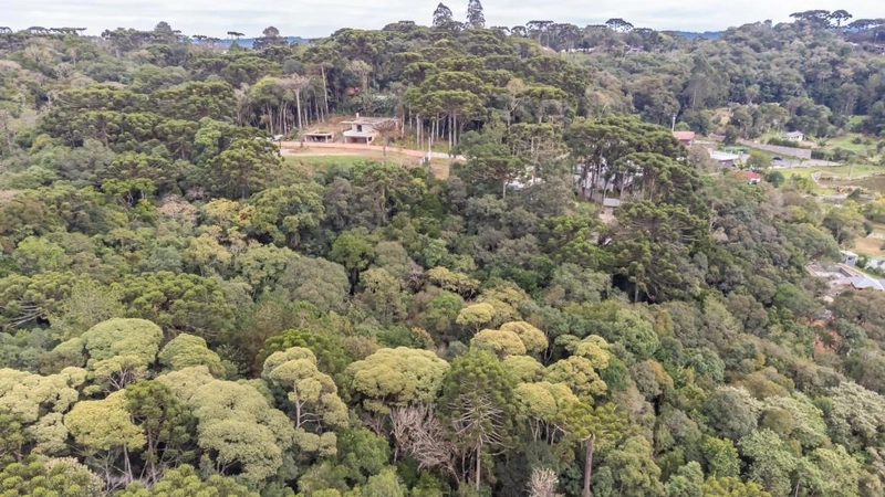 null: 39ª foto da galeria de imagens do imóvel