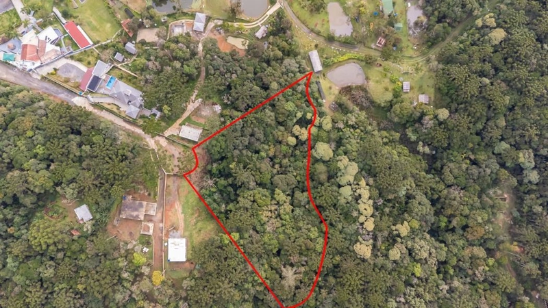 null: 4ª foto da galeria de imagens do imóvel