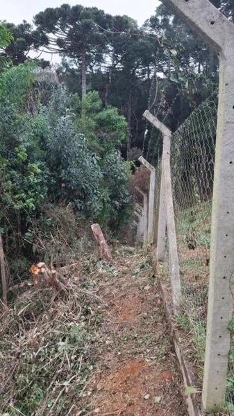 null: 44ª foto da galeria de imagens do imóvel