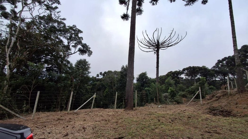 null: 45ª foto da galeria de imagens do imóvel