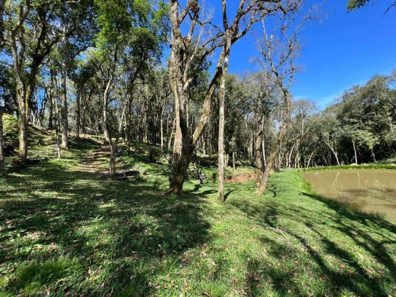 null: 1ª foto da galeria de imagens do imóvel