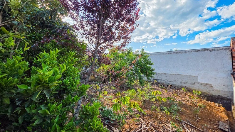 null: 27ª foto da galeria de imagens do imóvel