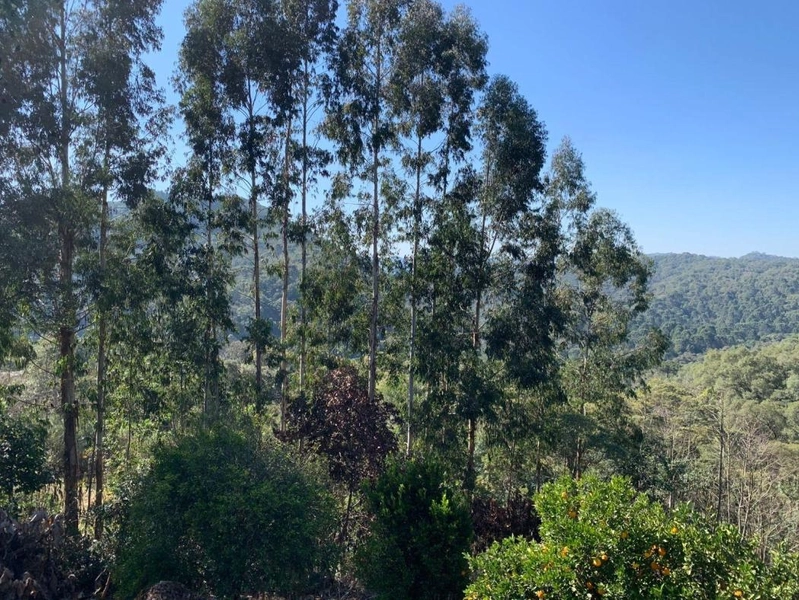 null: 3ª foto da galeria de imagens do imóvel