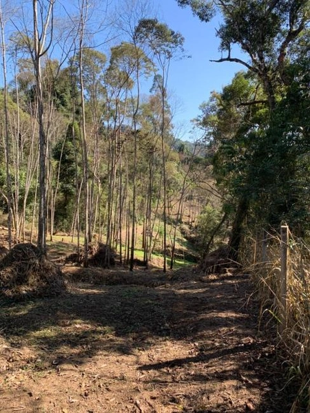 null: 30ª foto da galeria de imagens do imóvel