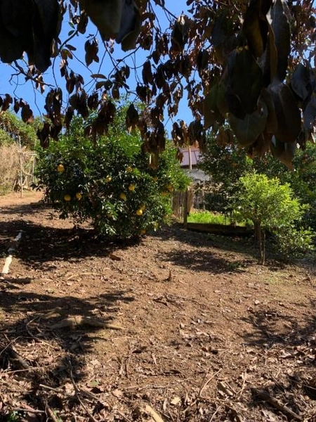 null: 31ª foto da galeria de imagens do imóvel