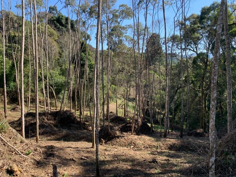 null: 32ª foto da galeria de imagens do imóvel