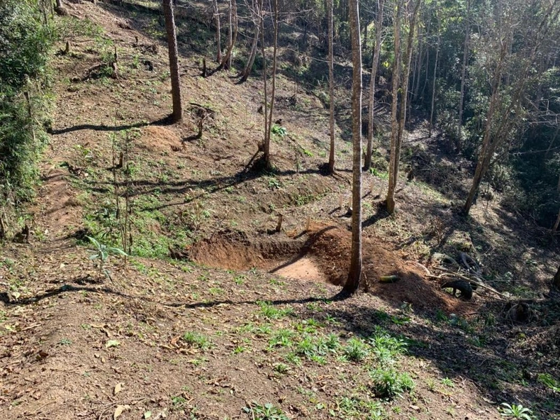 null: 33ª foto da galeria de imagens do imóvel