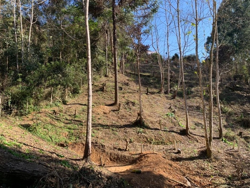 null: 34ª foto da galeria de imagens do imóvel