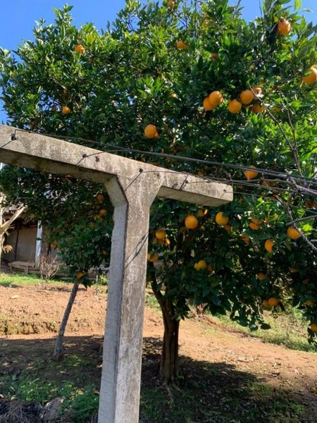 null: 35ª foto da galeria de imagens do imóvel