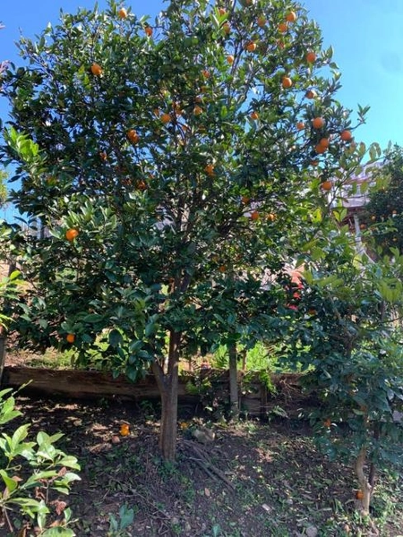 null: 37ª foto da galeria de imagens do imóvel