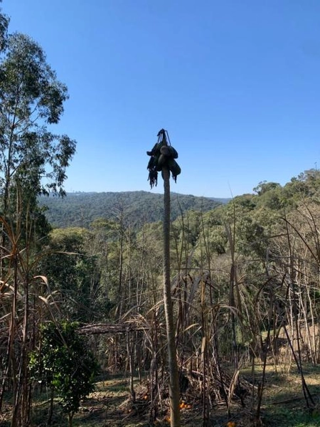 null: 38ª foto da galeria de imagens do imóvel