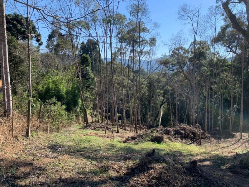 null: 39ª foto da galeria de imagens do imóvel