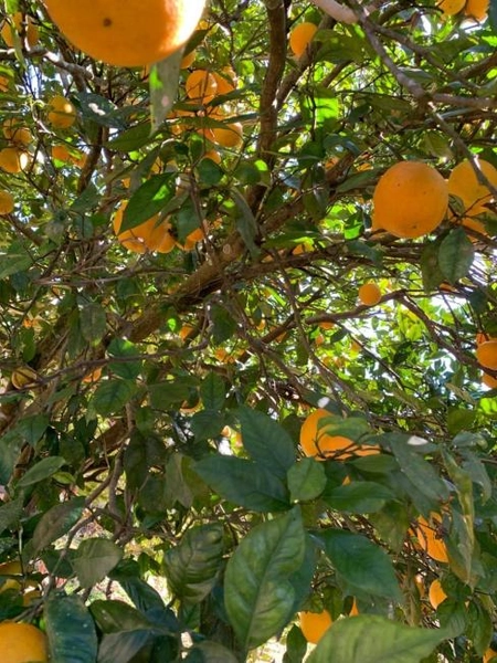 null: 40ª foto da galeria de imagens do imóvel