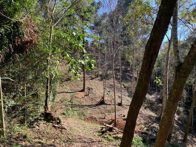 null: 41ª foto da galeria de imagens do imóvel