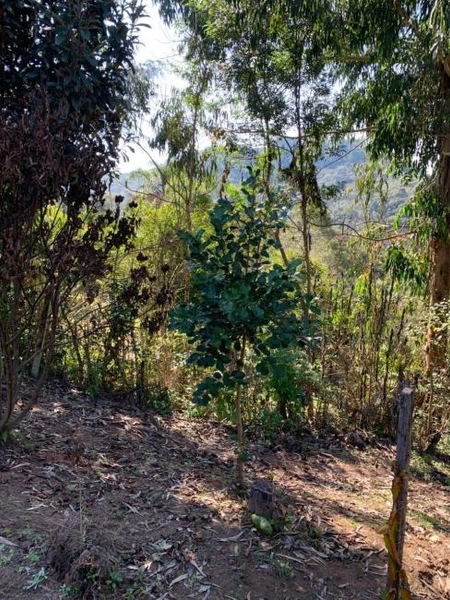 null: 43ª foto da galeria de imagens do imóvel