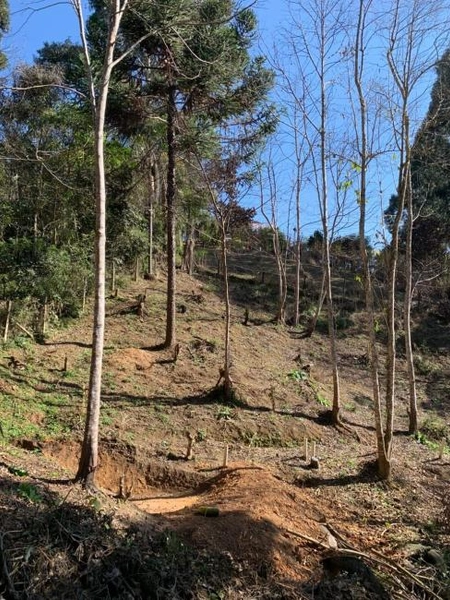 null: 44ª foto da galeria de imagens do imóvel