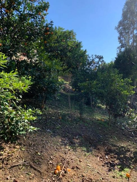 null: 45ª foto da galeria de imagens do imóvel