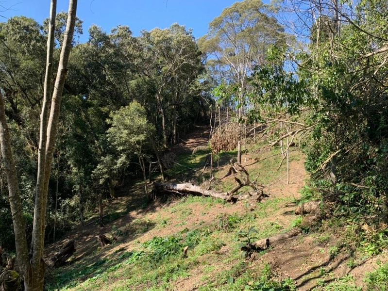 null: 47ª foto da galeria de imagens do imóvel