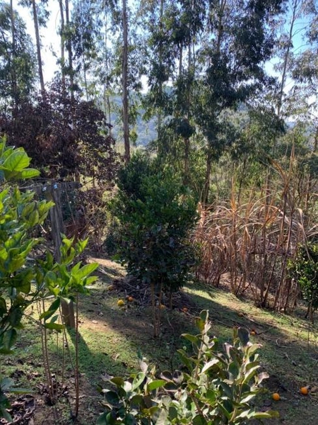 null: 49ª foto da galeria de imagens do imóvel