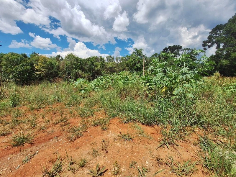 null: 11ª foto da galeria de imagens do imóvel